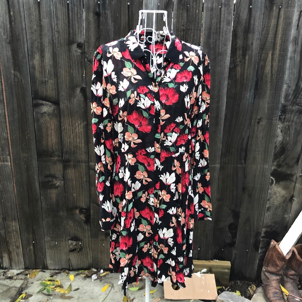 Zara Button-Up Dress